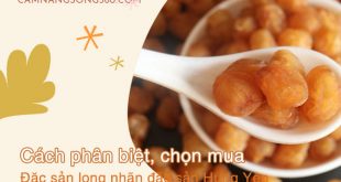 meo chon long nhan hung yen