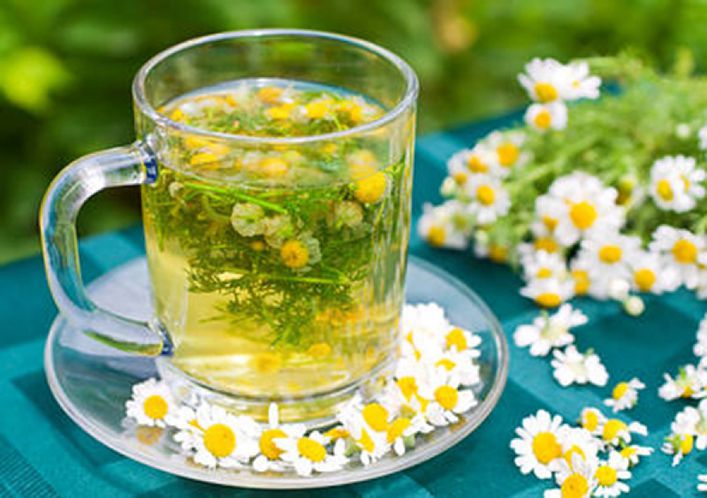 Uống trà hoa cúc giảm cân