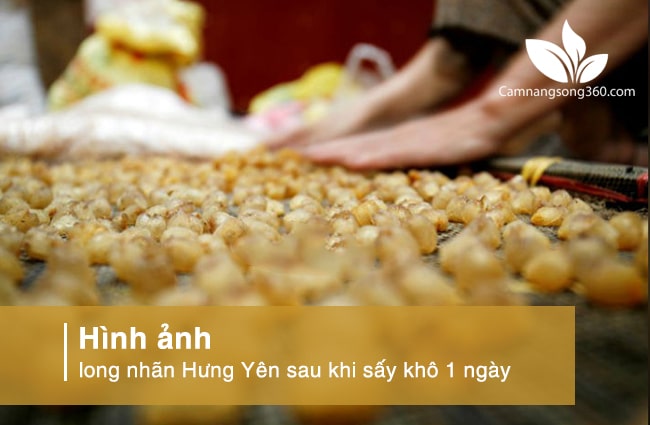 nhan kho say hung yen